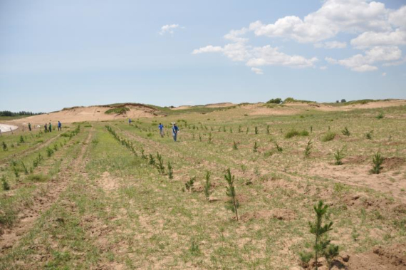 1560409504.jpg 6.jpg