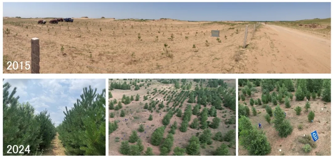 1719801185899622.jpg 640_wx_fmt=jpeg&from=appmsg&tp=webp&wxfrom=5&wx_lazy=1&wx_co=1.webp.jpg