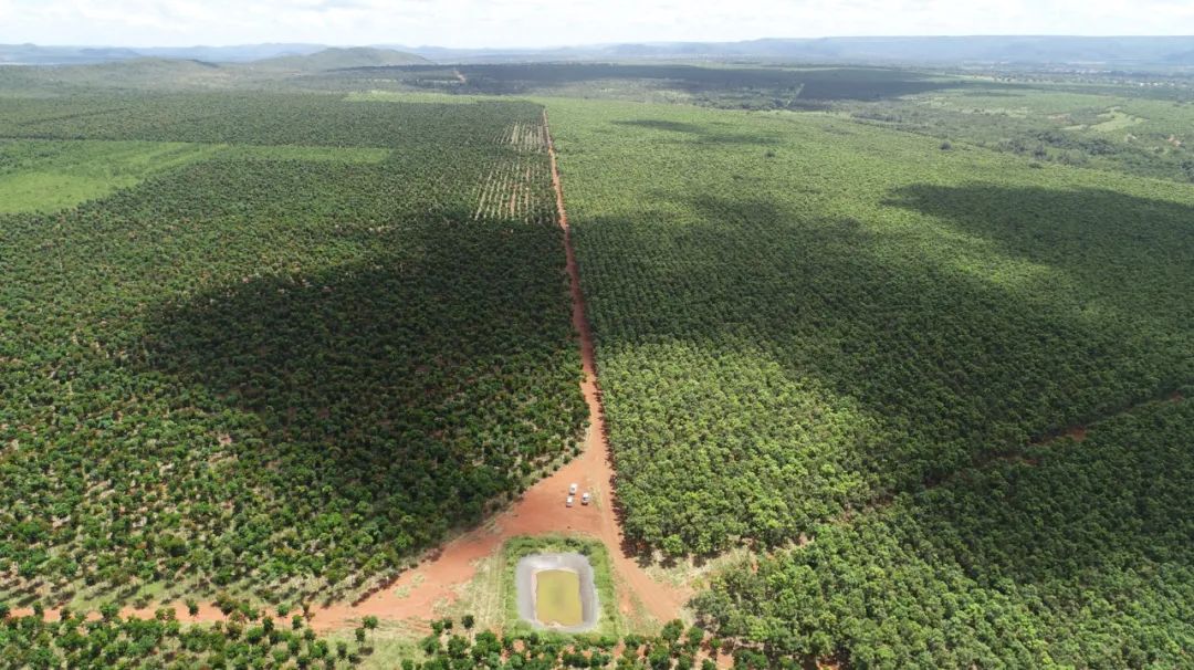 1752827573339133.jpg 640.jpg